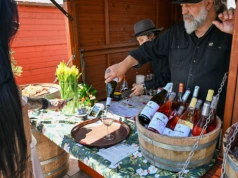 Enoturystyka nowym trendem Zachodniopomorskiego? Festiwal wina pokazał potencjał regionu