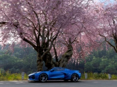 Forza Horizon 6 nie pozwoli ci zniszczyć japońskich drzew wiśniowych