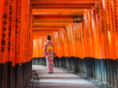 Japonia z Etihad Airways 🎎🏯 Loty z Krakowa i Warszawy od 2848 PLN ✈️🧳🎒