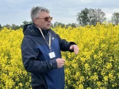 Rzepak z nawadnianiem i skrajnie różne terminy siewu na warsztatach polowych Agrolok