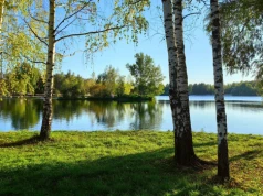 Sąsiedzki spór nad jeziorem. Właścicielka willi chce wyciąć 34 brzozy, aby uzyskać lepszy widok na jezioro