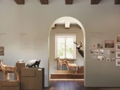 Łazienki Królewskie szykują wielką zmianę – nowe muzeum bez barier i dystansu