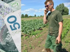 ARiMR daje nawet 300 tys. zł. Rusza nowy nabór dla rolników