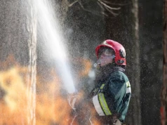 Strażak ochotnik podpalał las. "Z głupoty"