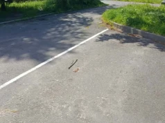 MSM zwiększa liczbę miejsc postojowych. Powstaną także nowe garaże