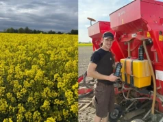 Rzepak miał ciężki start. Rolnik z Dolnego Śląska nie odpuścił azotu
