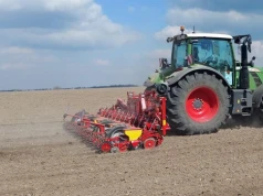 Sezon buraczany zaczyna się nerwowo. Plantacje pod presją pogody i szkodników