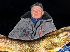Wielka ryba, wielka awantura