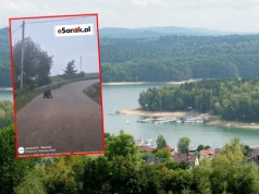 Niedźwiedzie podchodzą do zabudowań w gminie Solina. "Ludzie uciekali"