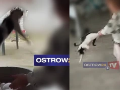 Szokująca sprawa wraca do sądu! Matka nagrywała, jak córka maltretuje kota