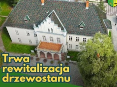 Cięcia w parku w Łodygowicach