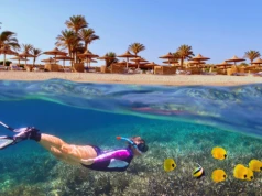Wczasy w Egipcie 🦈🌊 All inclusive w 4* hotelu w Szarm el-Szejk za 1799 PLN