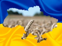 Damian Murawiec: Jeśli wygra poprawność polityczna co do Ukrainy, to jako polscy rolnicy możemy się pakować