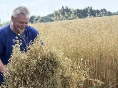 Nie da się wyżyć z 6 hektarów? To gospodarstwo znalazło własny sposób