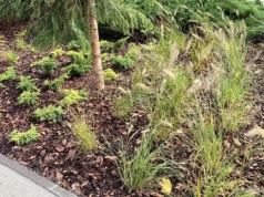 Miasto ogłosiło przetargi na pierwszych 10 parków kieszonkowych