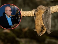 Boimy się egzotycznych wirusów, a zapominamy o jednym. Wirusolog bije na alarm
