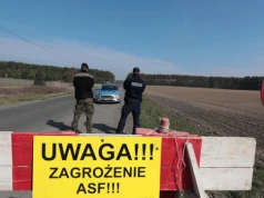 Alarm w Polsce. Wykryto gigantyczne ognisko zarazy we wsi w Zachodniopomorskiem