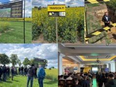 Akademia Rzepaku w Wielkopolsce. Czas na podsumowania sezonu i przygotowania do kolejnego