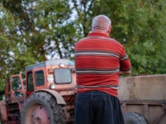 Dwie trzecie rolników balansuje na granicy opłacalności problem się pogłębia