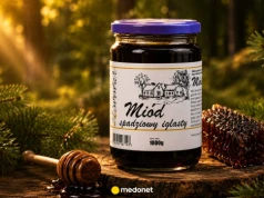 Czy polski miód może konkurować z Manuka? Badania zaskakują