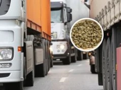 Transport z Brazylii zatrzymany. To miało trafić do sprzedaży w Polsce