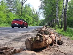Kłody przy drodze obok Zalewu Sosina. Blokada miejsc czy jednak sposób na nierespektowanie przepisów i parkingowy chaos? Czy to bezpieczne?