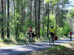 Aż 125 km wśród lasów. To będzie jedna z najpiękniejszych tras w Polsce