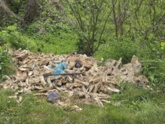 Biologiczna bomba w lesie. Ktoś podrzuca niebezpieczne odpady zwierzęce