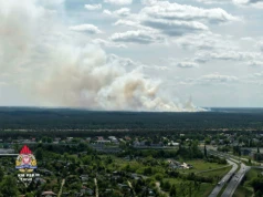 Pożar na poligonie wojskowym w Toruniu