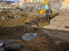 Pięć ton glonów usuniętych z plaż w Las Palmas de Gran Canaria