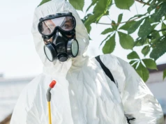 Trująca plaga rozprzestrzenia się w Niemczech. Może wywołać silne reakcje u ludzi