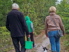 Wysyp "leśnych kurczaków" w maju. Wychodzą z lasów z pełnymi koszami