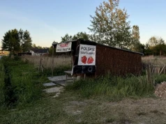 Chce pomóc dziadkowi, który stoi przed decyzją o zamknięciu sklepu. Włożył w to miejsce serce, ale ciężko mu konkurować z marketami