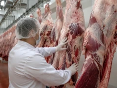 Polska wołowina przechodzi test Korei. Mercosur musi przejść test standardów