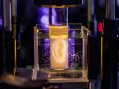 Hologramy wydrukowały w 3D "ludzkie" ucho. Przełom w medycynie?