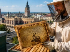Jedna cecha zdradza jakość miodu. Jak wygląda codzienna praca pszczelarza w Krakowie? (nasza rozmowa)