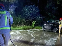 Zderzenie auta z sarną w rejonie Dąbrowy-Gogole