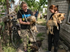 Ratują zwierzęta pod bombami. "Ruszają prawie pod linię zero, do piekła"