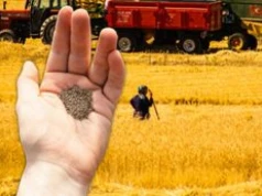 Nasiona pod ścisłą kontrolą. Rozdać można, sprzedaż zakazana
