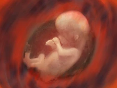 Racjonalne argumenty za tym, że płód jest człowiekiem od momentu poczęcia