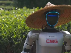 Humanoidalne roboty trafiają na plantacje herbaty