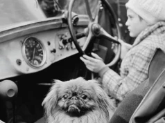Śląski Cartier-Bresson - przekrojona wystawa Józefa Makala w Katowicach