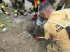 Szczekanie spod ziemi. Dramatyczna walka o życie psa uwięzionego w kanale!