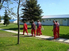 Tarcza przed stratami: bioasekuracja, która chroni wynik produkcyjny