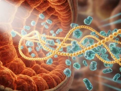 Badanie: Probiotyki zawarte w kimchi mogą pomagać organizmowi w usuwaniu nanoplastiku