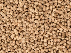 Chcesz wymienić stary piec? Władze Konina szykują zmiany w dotacjach