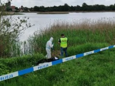 Martwy pies wyłowiony z jeziora. Właścicielka rozpoznała go w prasie