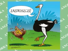 Dlaczego jedne ptaki latają, a inne nie? Odpowiedź może być zaskakująca