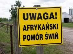 Nowe gminy w czerwonej strefie ASF. Hodowcy świń muszą uważać