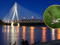Tajemnicze zwierzęta latają nocą po Warszawie. Co się dzieje?